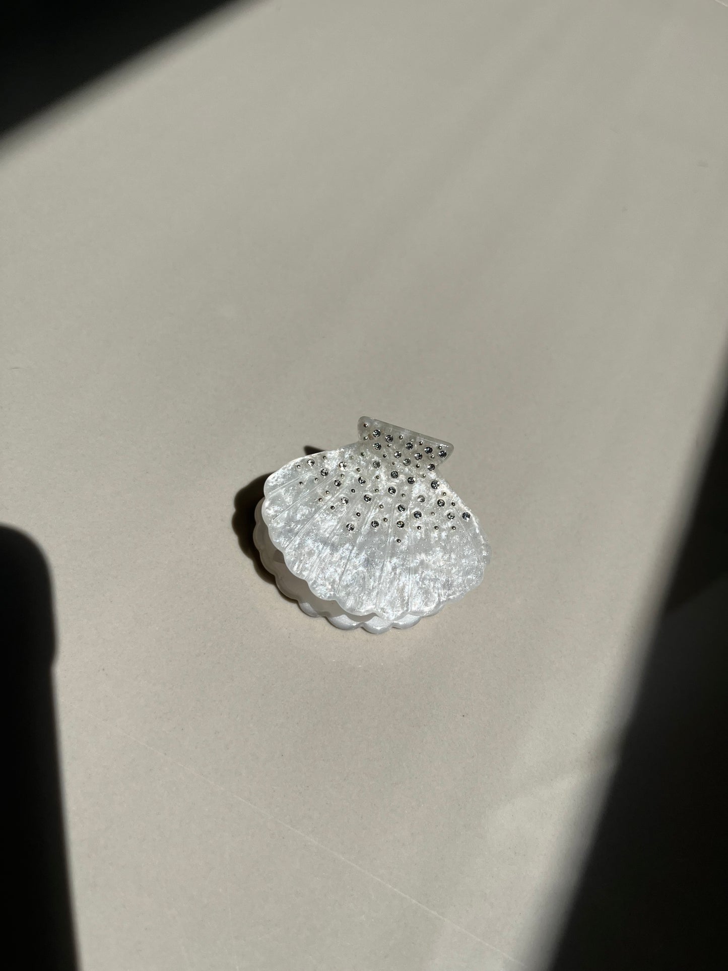 MAR ADENTRO(concha de mar)